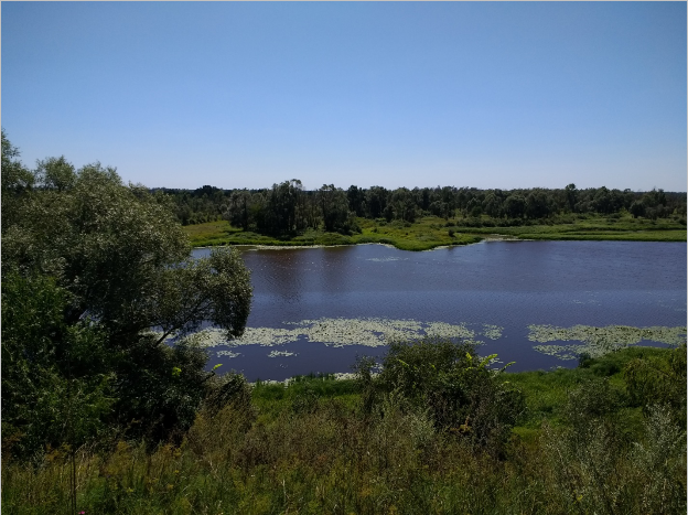 С того берега наступали танки. Туда мы и отправимся, как только лодка будет готова.