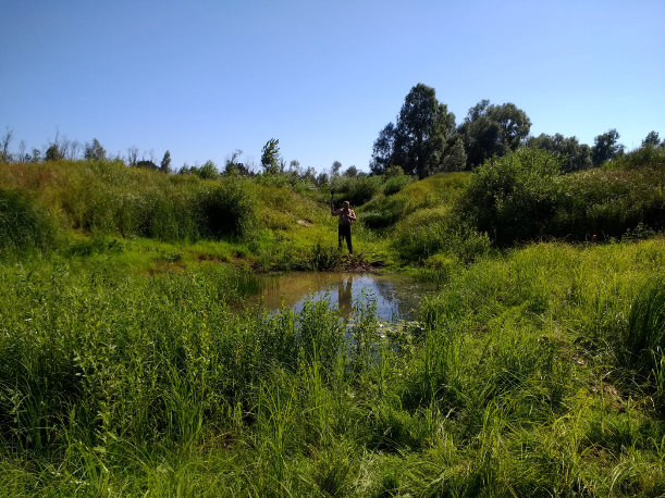 Когда-то здесь пытались проводить раскопки с помощью бульдозеров, но результатом стали лишь лужи на месте вырытых ям.
