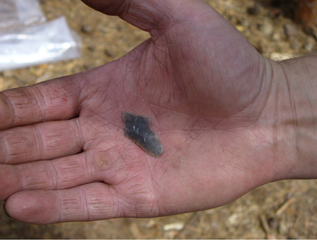 Исследования на селище Х11–Х1Vвв.