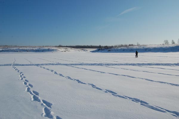 Словом, во второй половине дня была выявлена очень чёткая аномалия размером примерно 5х10 метров, предположительно связанная с крупным магнитным объектом. На фотографии она оконтурена протоптанной в снегу дорожкой.