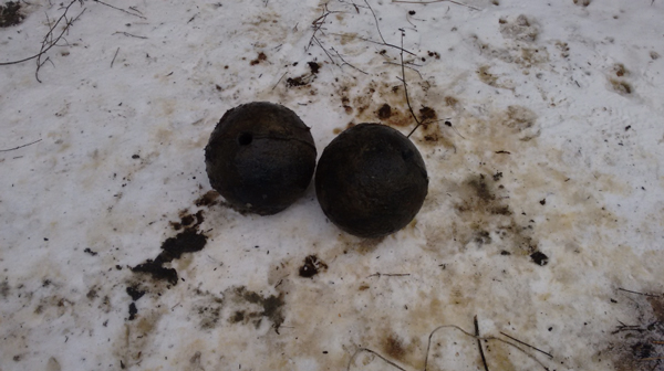 Багор, возможно, принадлежал старинным предшественникам современных «чёрных копателей» из местных жителей, пытающихся извлечь практическую пользу из своих знаний истории.